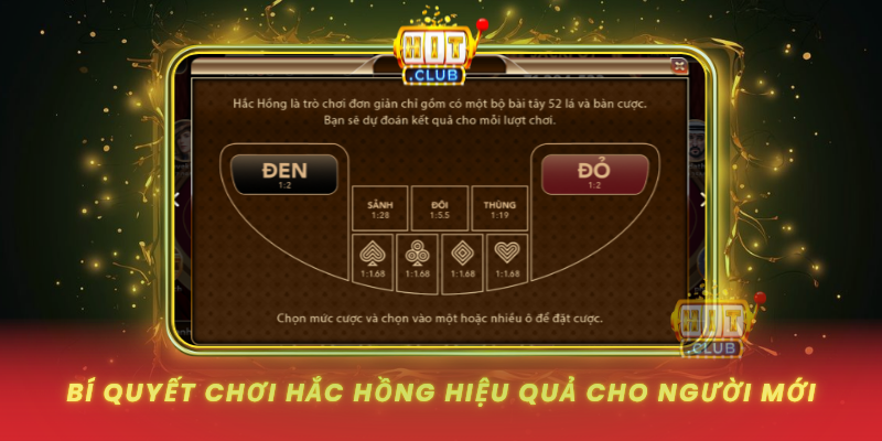 Bi Quyet Choi Hac Hong Hieu Qua Cho Nguoi Moi